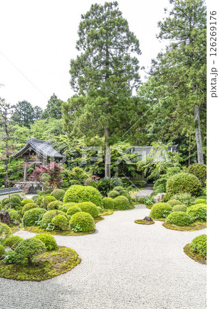 龍潭寺（浜松市）本堂前の庭園 126269176