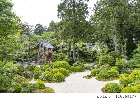 龍潭寺（浜松市）本堂前の庭園 126269177