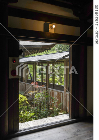 龍潭寺（浜松市）本堂より開山堂への廊下 126269180
