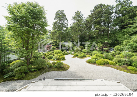 龍潭寺（浜松市）本堂前の庭園 126269194