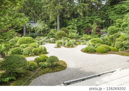 龍潭寺(浜松市)本堂前の庭園 龍潭寺(浜松市)本堂前の庭園 126269202