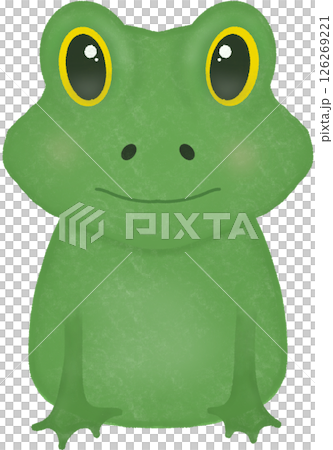 frog with a smile frog with a smile 126269221