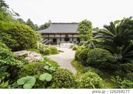龍潭寺(浜松市)本堂 龍潭寺(浜松市)本堂 126269277