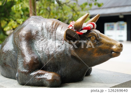 九州の神社 大宰府 九州の神社 大宰府 126269640