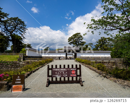 小田原城 正規登城ルート入口の風景 小田原城 正規登城ルート入口の風景 126269715