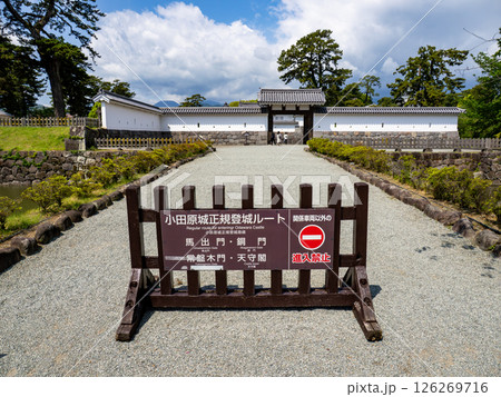 小田原城 正規登城ルート入口の風景 小田原城 正規登城ルート入口の風景 126269716
