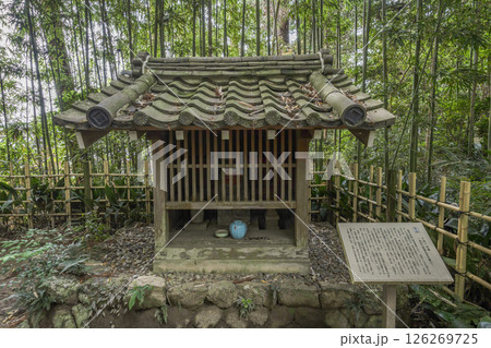 龍潭寺（浜松市）子育て地蔵 126269725
