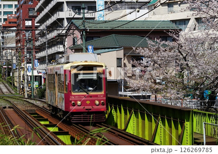 桜満開の高戸橋を通過する都電 4月豊島155桜と都電・高戸橋 桜満開の高戸橋を通過する都電 4月豊島155桜と都電・高戸橋 126269785