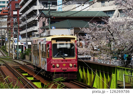桜満開の高戸橋を通過する都電 4月豊島156桜と都電・高戸橋 桜満開の高戸橋を通過する都電 4月豊島156桜と都電・高戸橋 126269786