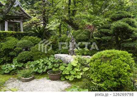 龍潭寺（浜松市）境内 126269798