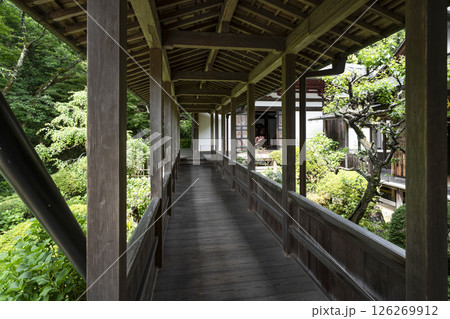 龍潭寺（浜松市）本堂から開山堂へ 126269912