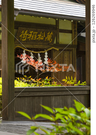 龍潭寺（浜松市）萬松稲荷 126269946