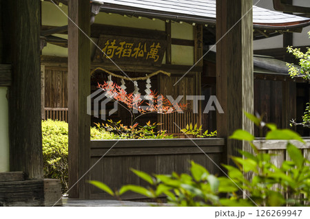 龍潭寺（浜松市）萬松稲荷 126269947