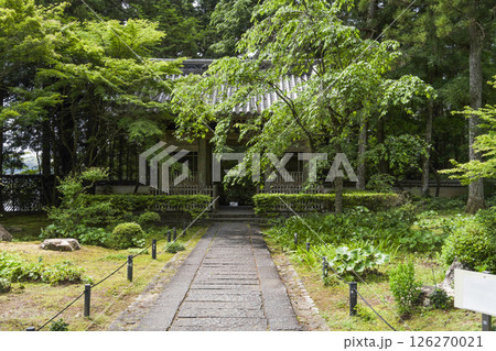龍潭寺（浜松市）仁王門 126270021