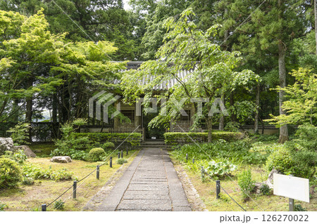 龍潭寺(浜松市)仁王門 龍潭寺(浜松市)仁王門 126270022