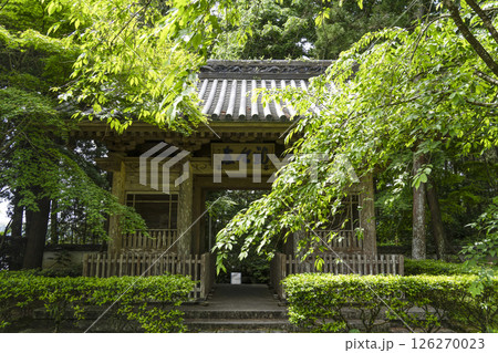 龍潭寺（浜松市）仁王門 126270023
