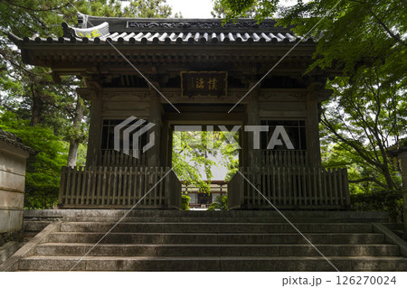 龍潭寺（浜松市）仁王門 126270024