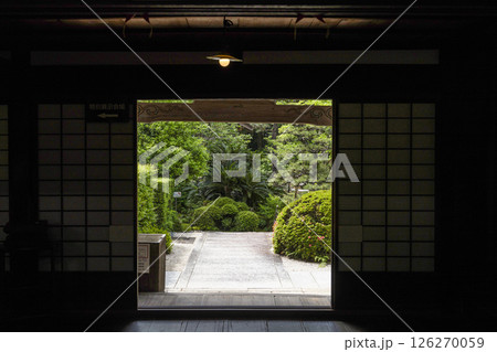 龍潭寺（浜松市） 126270059
