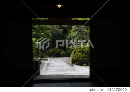 龍潭寺（浜松市） 126270060