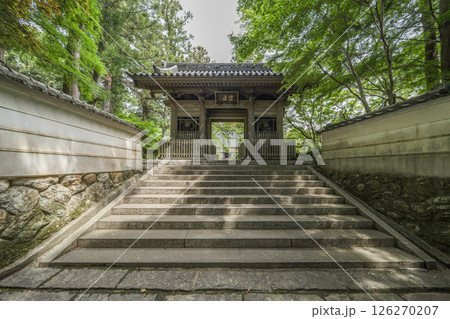 龍潭寺（浜松市）仁王門、正面 126270207