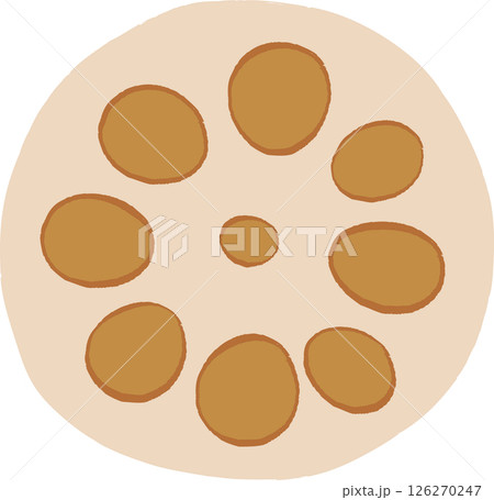 シンプルな手描きのれんこんの断面イラスト シンプルな手描きのれんこんの断面イラスト 126270247