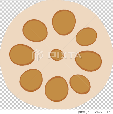 シンプルな手描きのれんこんの断面イラスト シンプルな手描きのれんこんの断面イラスト 126270247