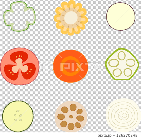 シンプルな手描きの野菜断面イラストセット 126270248
