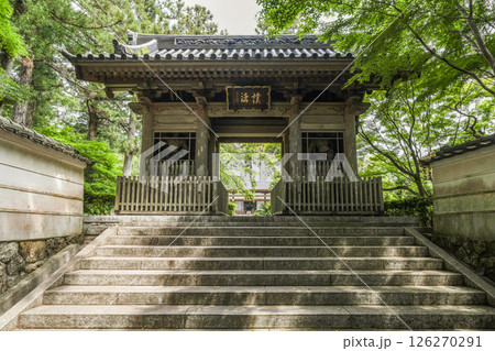 龍潭寺（浜松市）仁王門、正面 126270291