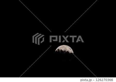 Moonrise Serenity: Full Moon Emerging Amidst Trees in Nocturnal Capture 126270366