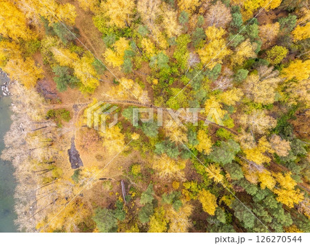 Aerial drone view of stunning colorful autumn fall forest. 126270544