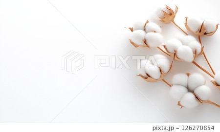 Magnified Cross section of Delicate Cotton Fibers with Minimal Textures 126270854