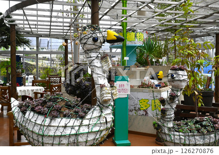 山中湖　花の都公園の景色 126270876