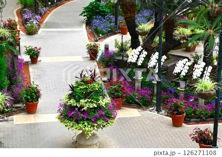 山中湖　花の都公園の景色 126271108
