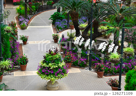 山中湖 花の都公園の景色 山中湖 花の都公園の景色 126271109