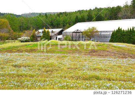 山中湖　花の都公園の景色 126271236