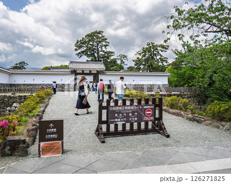 小田原城 正規登城ルート入口の風景 小田原城 正規登城ルート入口の風景 126271825