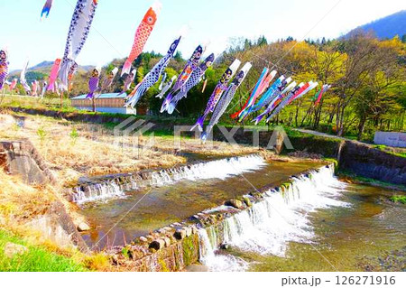 こいのぼり　鯉のぼり　鯉幟　高瀬川　山形市 126271916
