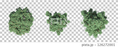 large tree with a shadow under it, isolated on a transparent background, 3D illustration, cg render large tree with a shadow under it, isolated on a transparent background, 3D illustration, cg render 126272001