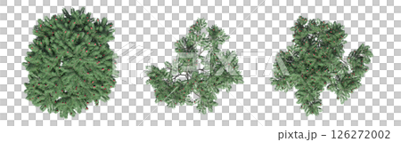 large tree with a shadow under it, isolated on a transparent background, 3D illustration, cg render large tree with a shadow under it, isolated on a transparent background, 3D illustration, cg render 126272002