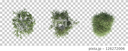 large tree with a shadow under it, isolated on a transparent background, 3D illustration, cg render 126272006