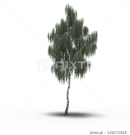 large tree with a shadow under it, isolated on a transparent background, 3D illustration, cg render large tree with a shadow under it, isolated on a transparent background, 3D illustration, cg render 126272028