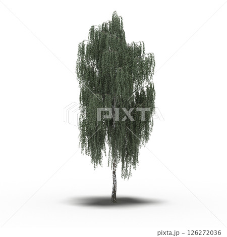 large tree with a shadow under it, isolated on a transparent background, 3D illustration, cg render 126272036