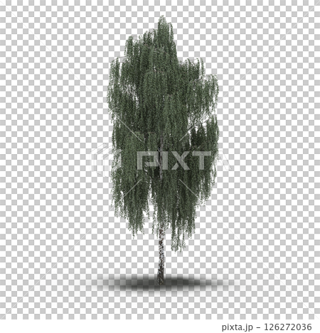 large tree with a shadow under it, isolated on a transparent background, 3D illustration, cg render 126272036