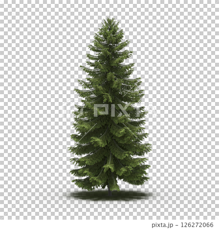 large tree with a shadow under it, isolated on a transparent background, 3D illustration, cg render large tree with a shadow under it, isolated on a transparent background, 3D illustration, cg render 126272066