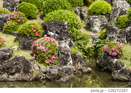 龍潭寺庭園（浜松市） 126272267
