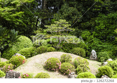 龍潭寺庭園(浜松市) 龍潭寺庭園(浜松市) 126272268