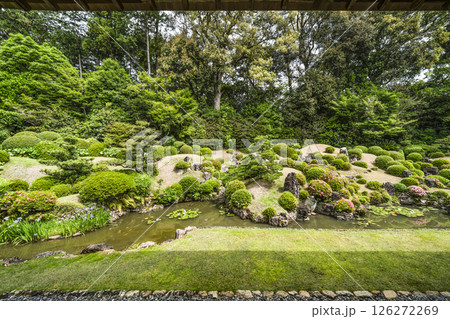 龍潭寺庭園（浜松市） 126272269