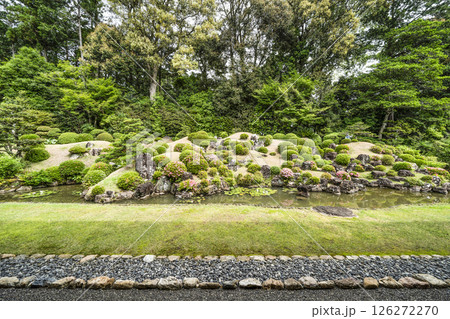 龍潭寺庭園(浜松市) 龍潭寺庭園(浜松市) 126272270