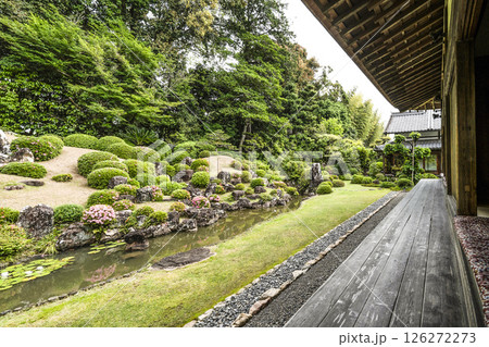 龍潭寺庭園（浜松市） 126272273