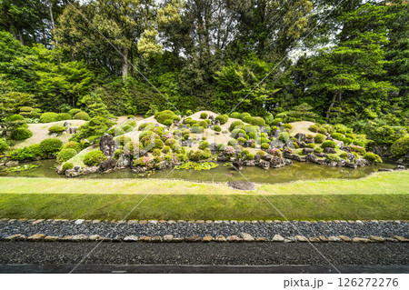 龍潭寺庭園（浜松市） 126272276
